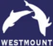 WSTMT